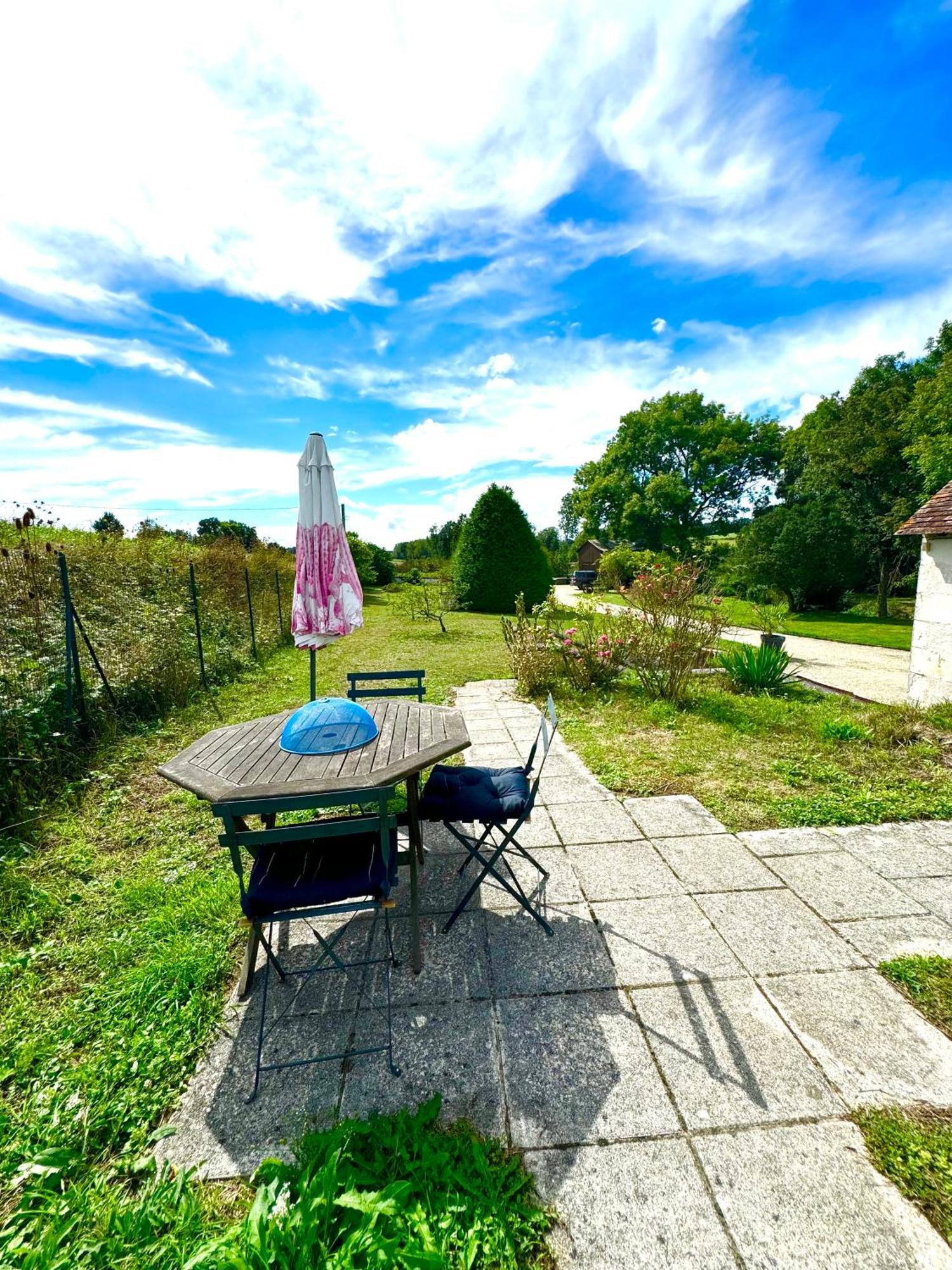 Le Moulin D Olivet Bed & Breakfast Orbigny Bagian luar foto