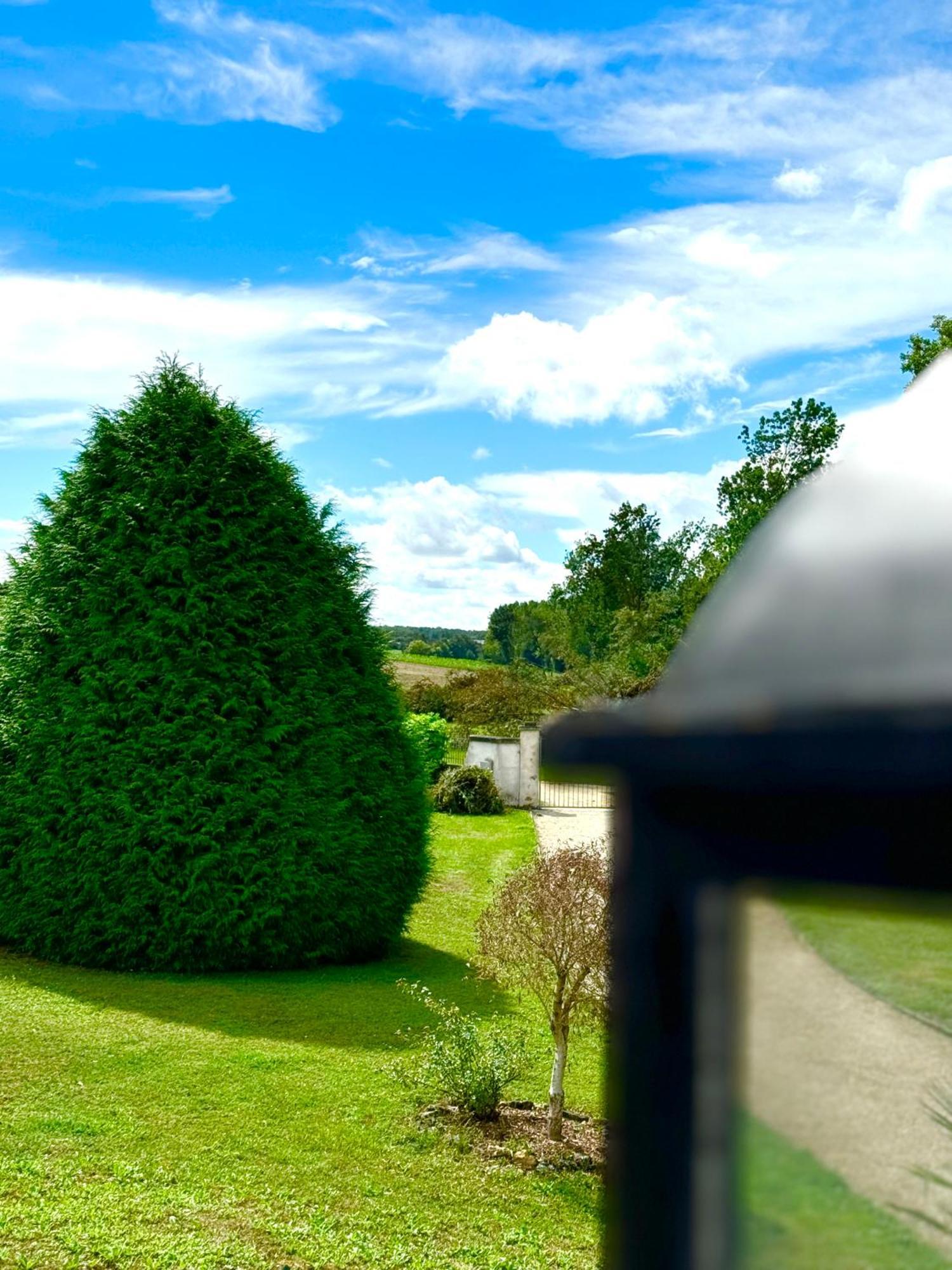 Le Moulin D Olivet Bed & Breakfast Orbigny Bagian luar foto