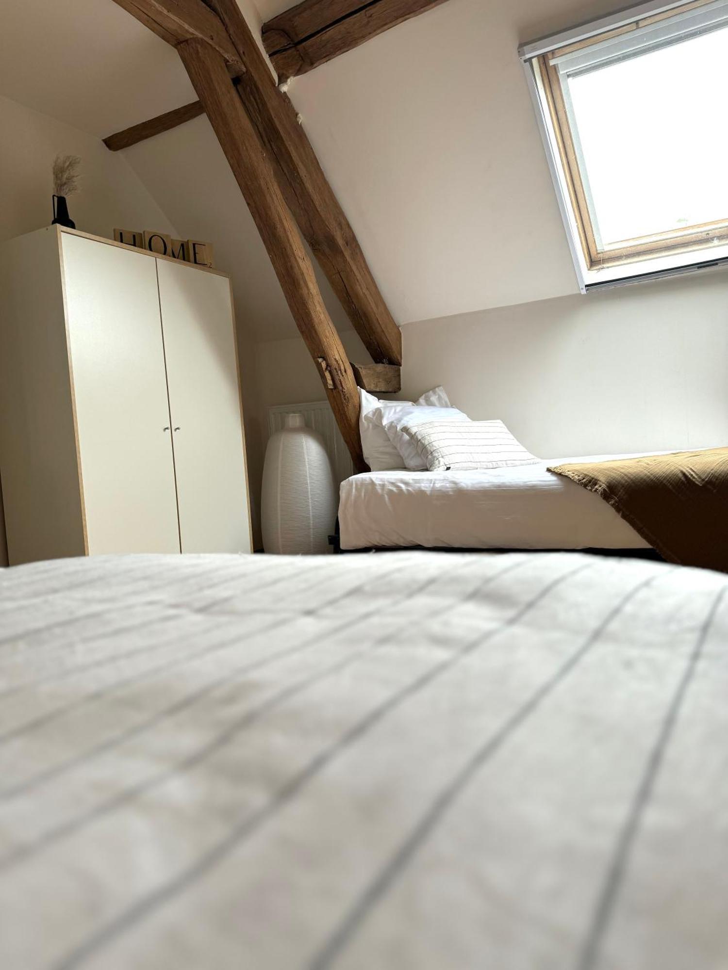 Le Moulin D Olivet Bed & Breakfast Orbigny Bagian luar foto