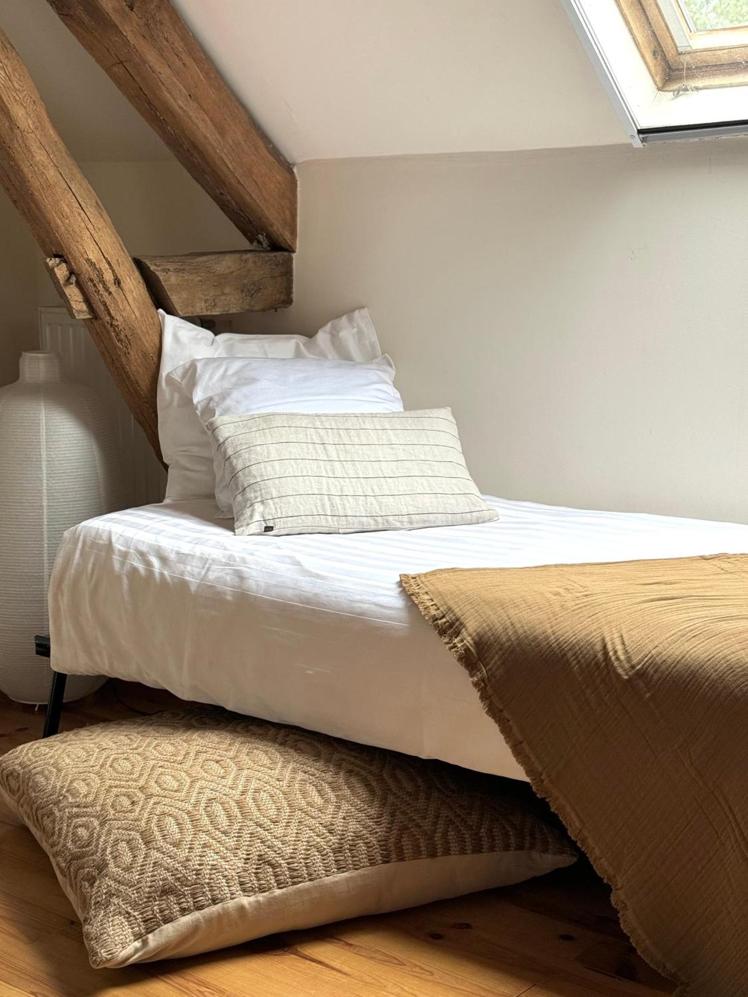 Le Moulin D Olivet Bed & Breakfast Orbigny Bagian luar foto