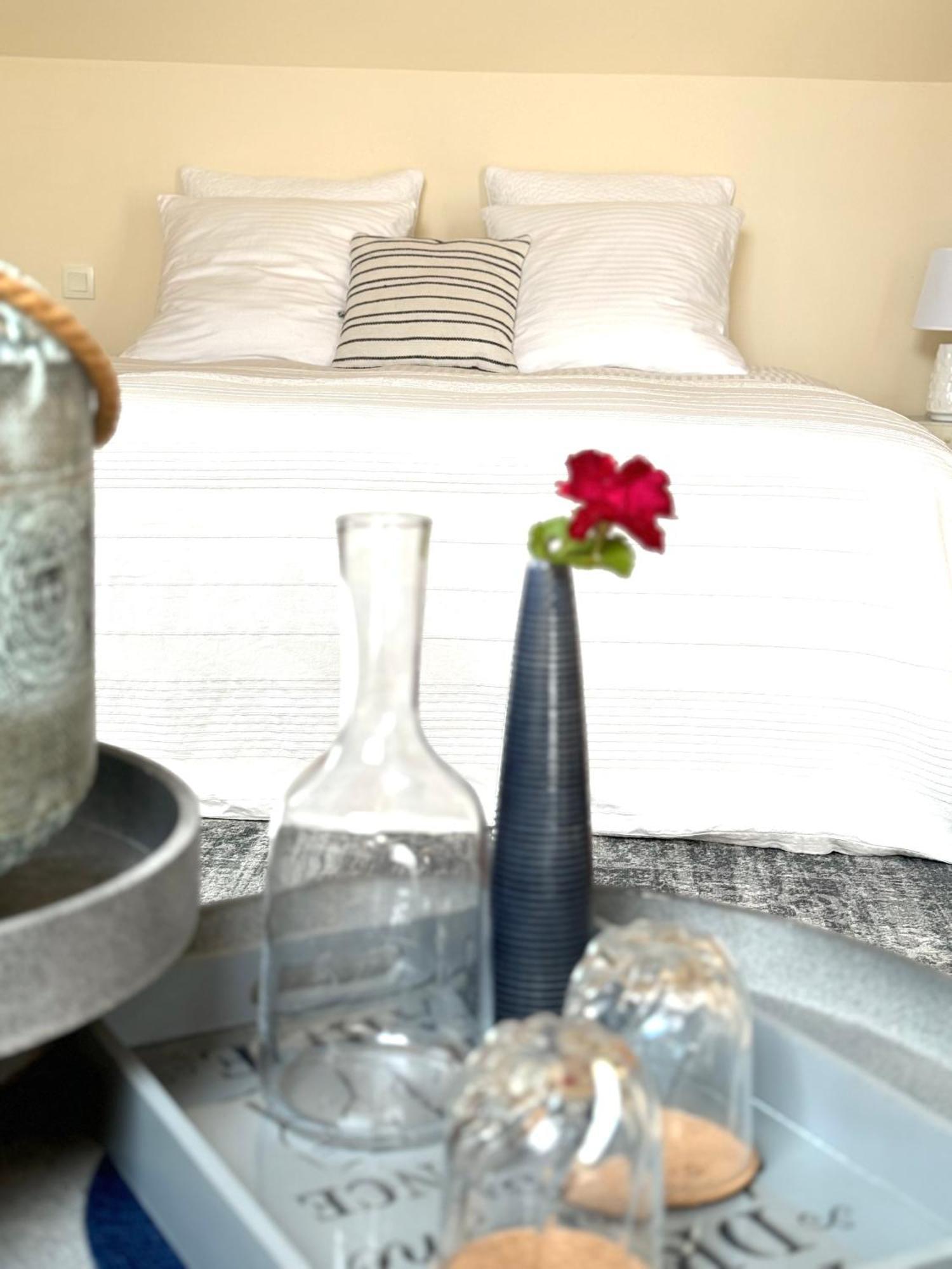 Le Moulin D Olivet Bed & Breakfast Orbigny Bagian luar foto