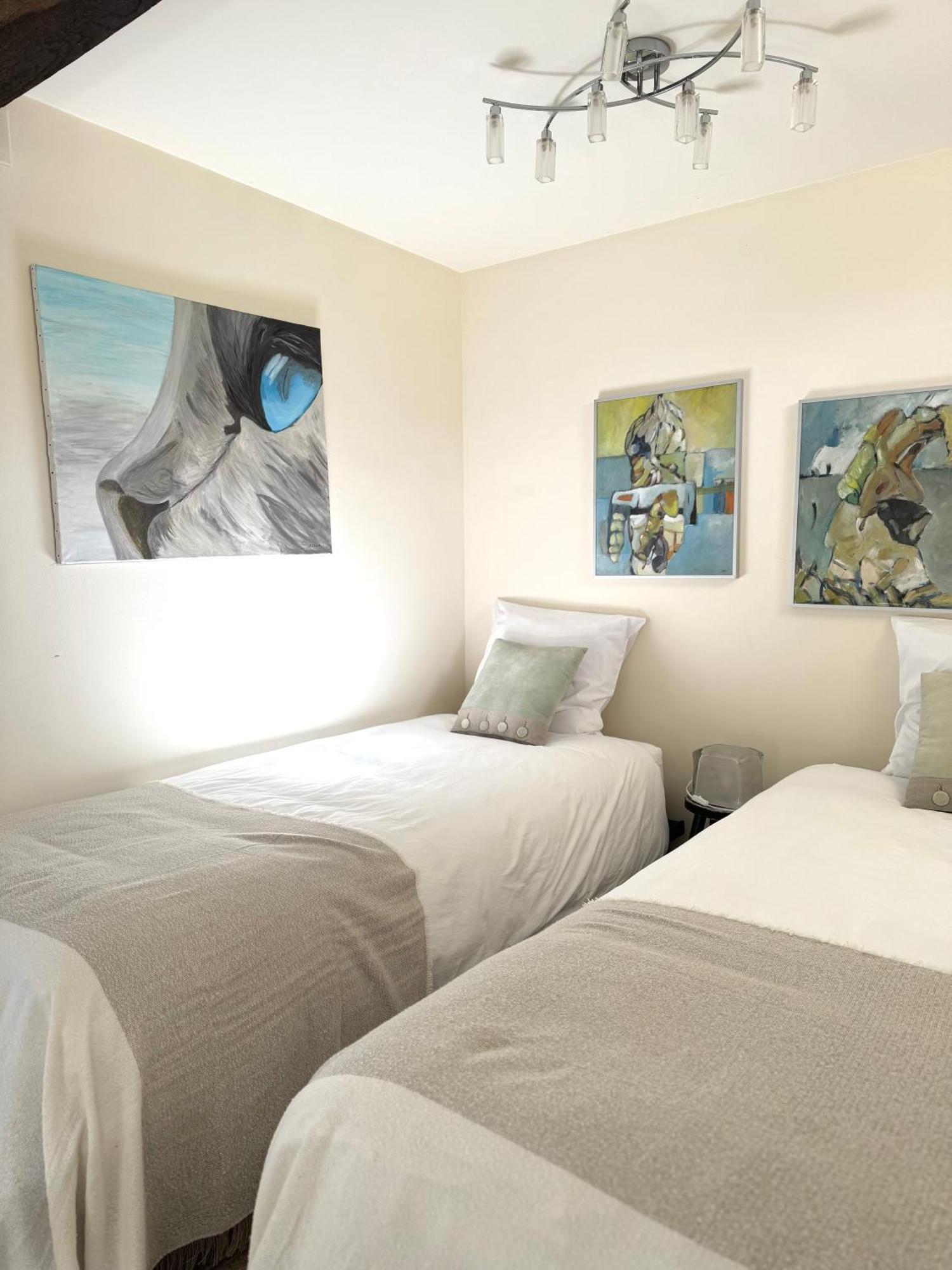 Le Moulin D Olivet Bed & Breakfast Orbigny Bagian luar foto